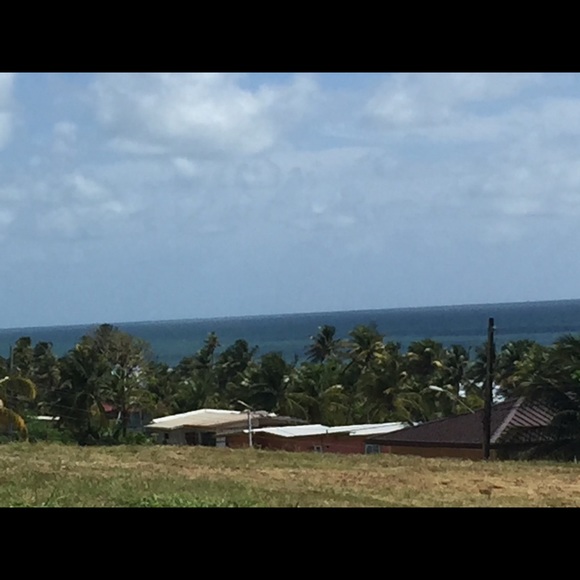 Meet your Posher, Thomas - Picture 1 of 1